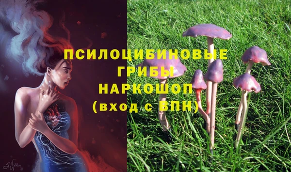 герыч Покачи